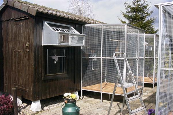 Grote foto duivenren spoetnik dieren en toebehoren overige dierverblijven