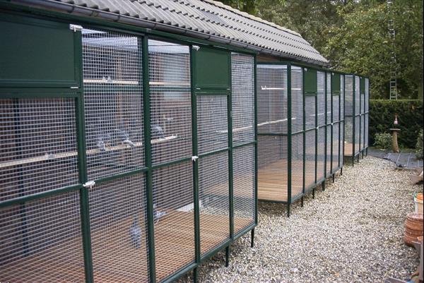 Grote foto duivenren spoetnik dieren en toebehoren overige dierverblijven