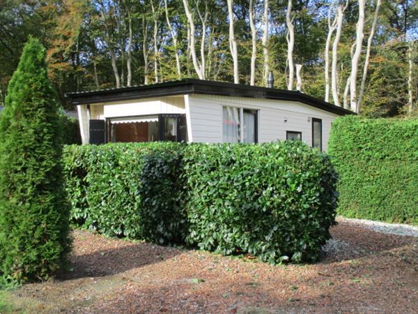 Grote foto gemeubileerde huurwoning direct tijdelijk te huur. bosrijk e huizen en kamers appartementen en flat