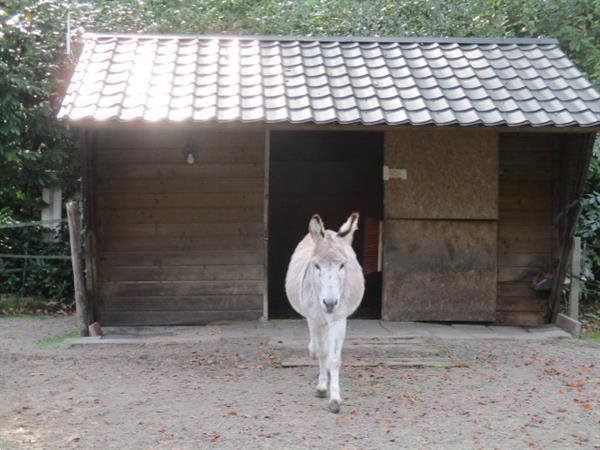 Grote foto omgeving grootegast doezum a7 verhuur van tijdelijke woonru caravans en kamperen overige caravans en kamperen