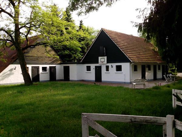 Grote foto gereserveerd. duitsland ringe vlakbij coevorden emmen huizen en kamers landhuizen