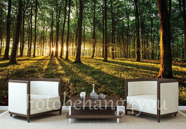 Grote foto bos fotobehang bosbeek 2 fotobehang4you huis en inrichting behang