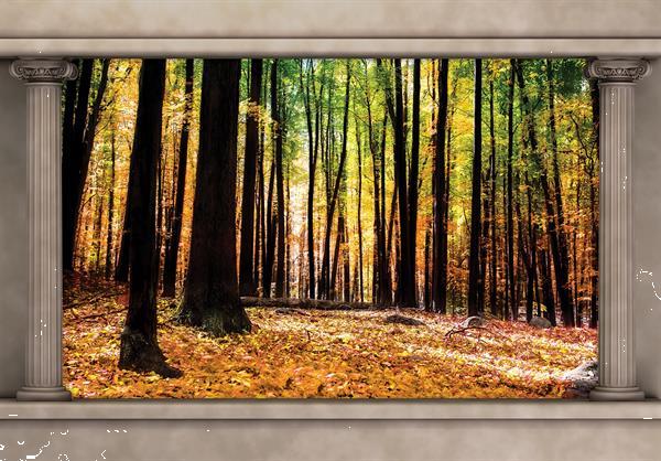 Grote foto bos fotobehang bosbeek 2 fotobehang4you huis en inrichting behang