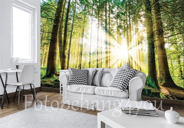 Grote foto bos fotobehang bosbeek 2 fotobehang4you huis en inrichting behang