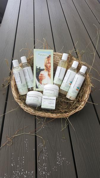Grote foto paardenmelkpoeder beauty en gezondheid voedingssupplementen