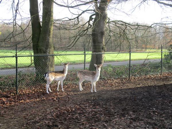 Grote foto spoed gemeubileerde woonruimte beschikbaar nabij leek roden caravans en kamperen overige caravans en kamperen