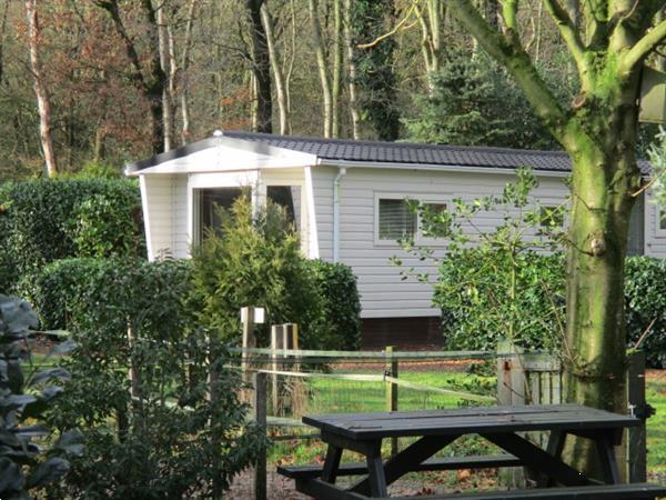 Grote foto camping friesland groningen directe verhuur van tijdelijke w vakantie nederland noord