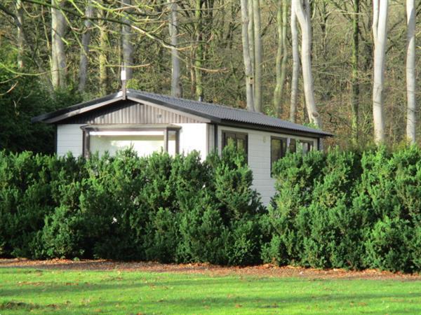 Grote foto camping friesland groningen directe verhuur van tijdelijke w vakantie nederland noord