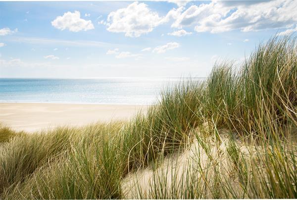 Grote foto vakantiehuis op park julianahoeve in renesse vakantie nederland zuid