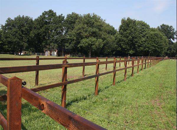 Grote foto opschroef omheining paddock paardenbak afrastering wei dieren en toebehoren paarden accessoires