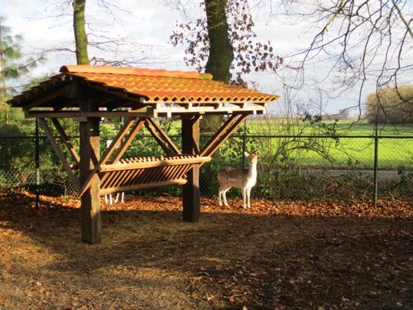 Grote foto verhuur van stacaravans chalet lodgesop grens friesland gron caravans en kamperen overige caravans en kamperen