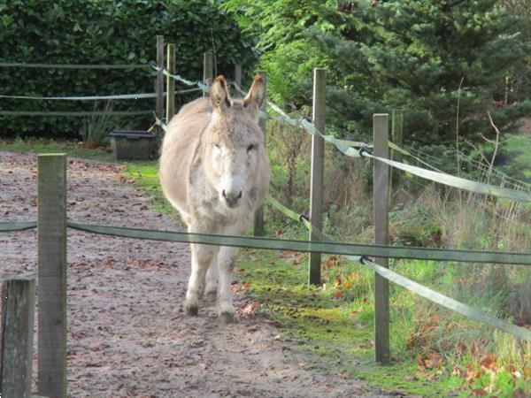 Grote foto verhuur van stacaravans chalet lodgesop grens friesland gron caravans en kamperen overige caravans en kamperen