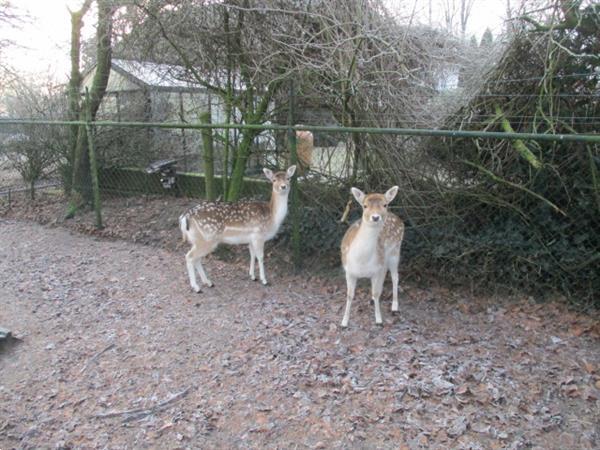 Grote foto camping verhuur voor korte langere tijd van gemeubileerde st caravans en kamperen overige caravans en kamperen