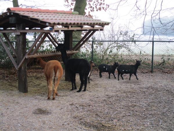 Grote foto tijdelijk werk in het noorden en nog geen woonruimte huur di vakantie campings