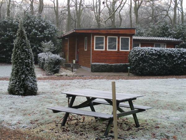 Grote foto vakantiewoning te huur op grens friesland groningen drenthe. vakantie campings