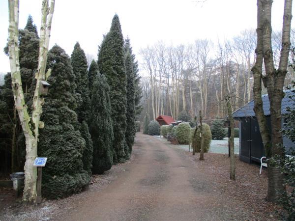 Grote foto camping nabij grootegast doezum. tijdelijke verhuur van woon vakantie campings