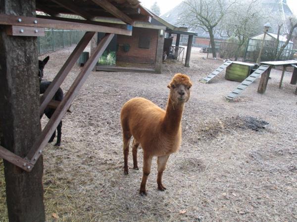 Grote foto woonruimte direct tijdelijk huren omg leek roden bakkeveen a vakantie campings