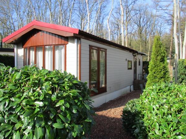 Grote foto recreatiepark verhuur van chalets stacaravans op prachtig pa huizen en kamers appartementen en flat