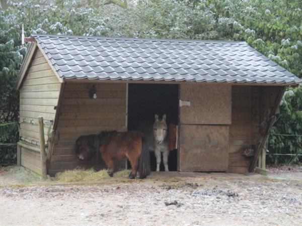 Grote foto vakantiewoning direct te huur op grens friesland groningen. vakantie campings