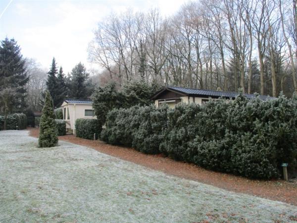 Grote foto vakantiewoning kort langere tijd te huur in bosrijke omgevin vakantie campings