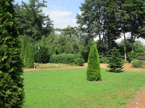 Grote foto vakantiewoning kort langere tijd te huur in bosrijke omgevin vakantie campings