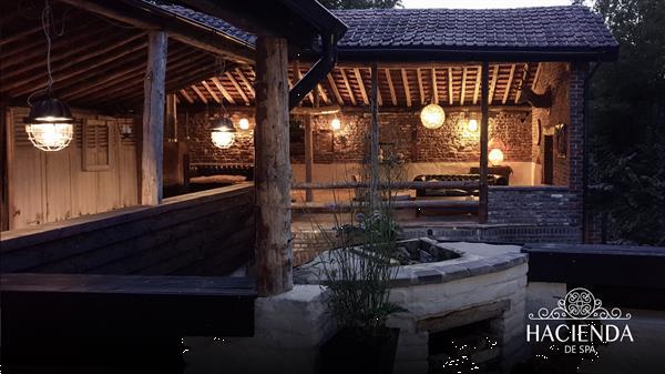 Grote foto stijlvolle loft met haard en enorm dakterras in spa. vakantie belgi