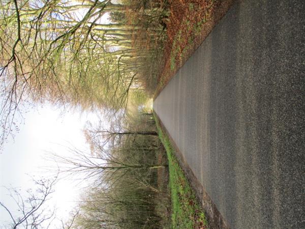 Grote foto vakantiepark grens groningen friesland heeft prachtige chale caravans en kamperen overige caravans en kamperen