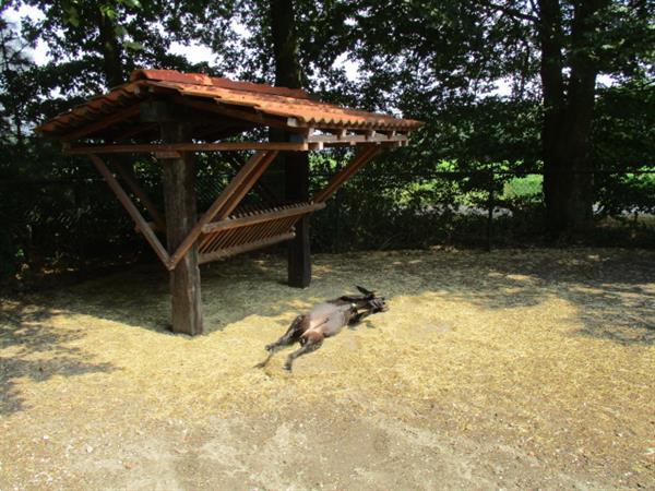 Grote foto camping trimunt verhuur voor korte langere periode op grens caravans en kamperen overige caravans en kamperen