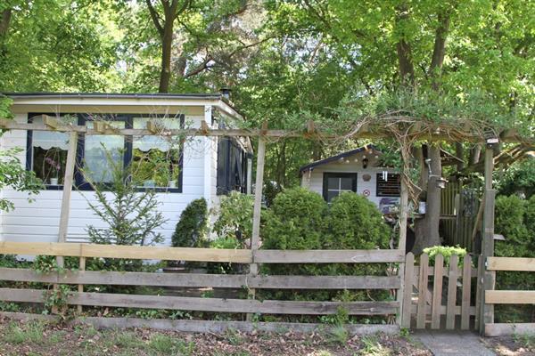 Grote foto prachtig houten chalet met blokhut caravans en kamperen stacaravans