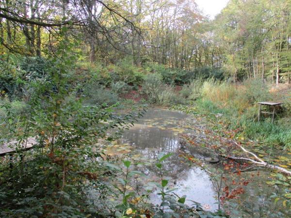 Grote foto camping verhuur van tijdelijke woonruimte op rustiek park na caravans en kamperen overige caravans en kamperen