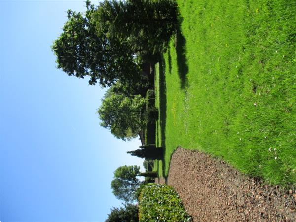 Grote foto camping groningen..verhuur van luxe chalets op prachtig park huizen en kamers recreatiewoningen