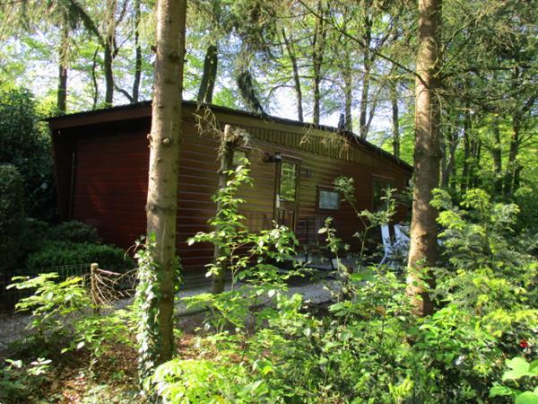 Grote foto stacaravan chalets tijdelijk te huur op grens friesland gron vakantie nederland noord