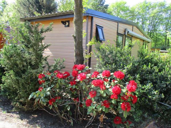 Grote foto stacaravan chalets tijdelijk te huur op grens friesland gron vakantie nederland noord