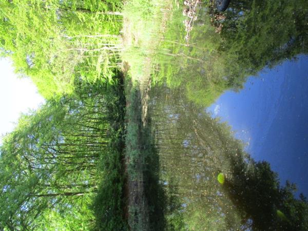 Grote foto stacaravan chalets tijdelijk te huur op grens friesland gron vakantie nederland noord