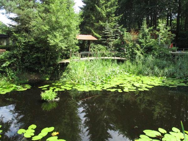 Grote foto camping aan het bos gelegen grens friesland groningen dracht vakantie campings