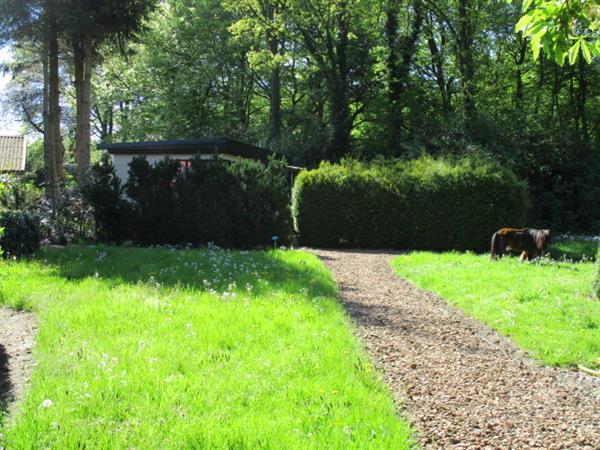 Grote foto chaletpark feriesland groningen verhuur van tijdelijke woonr huizen en kamers overige te huur