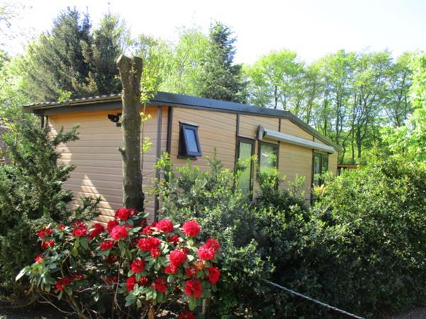 Grote foto tijdelijk werk groningen huur direct woonruimte chalet staca vakantie campings