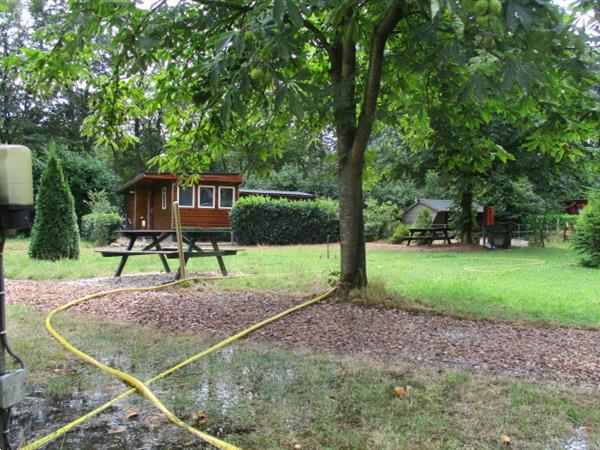 Grote foto vakantiepark trimunt verhuur van tijdelijke stacaravans chal vakantie nederland noord