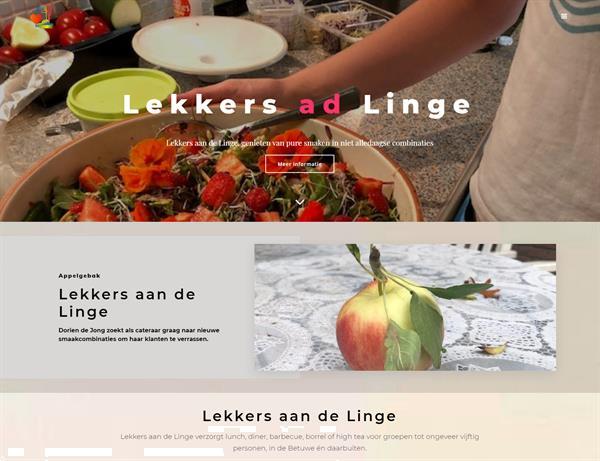 Grote foto een professionele website voor maar 199 diensten en vakmensen webdesigners en domeinnamen