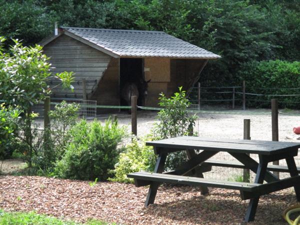 Grote foto vakantiepark groningen friesland a7 heeft keurige chalets bu huizen en kamers overige te huur