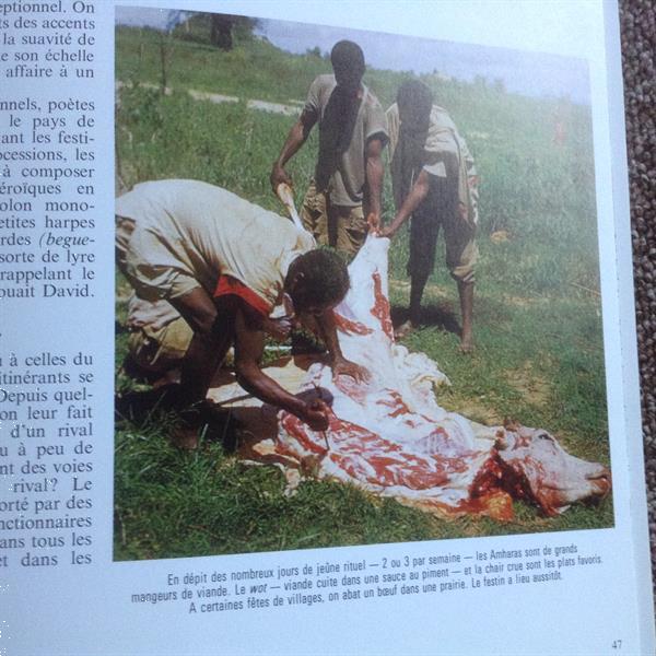 Grote foto boek in het frans van ethiopi boeken studieboeken