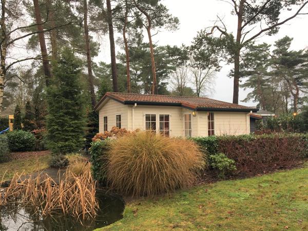 Grote foto prima onderhouden op eigen grond gelegen recreatiewoning in huizen en kamers recreatiewoningen