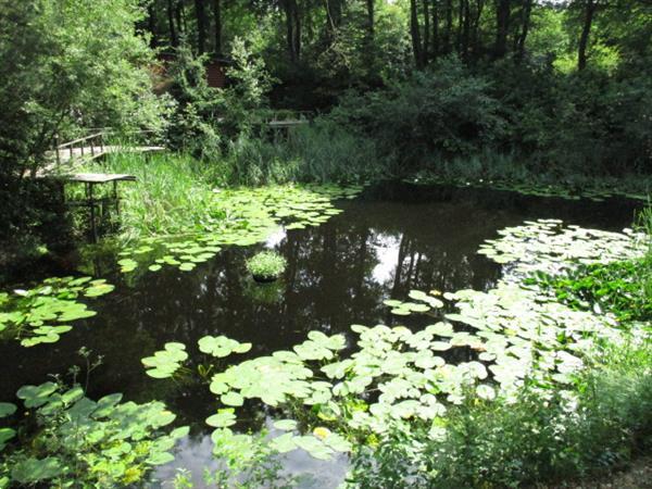 Grote foto camping veerhuur van woonruimte chalet vakantiewoning bunga caravans en kamperen overige caravans en kamperen