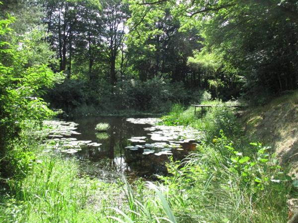 Grote foto camping trimunt op grens friesland groningen.verhuur van tij huizen en kamers overige te huur