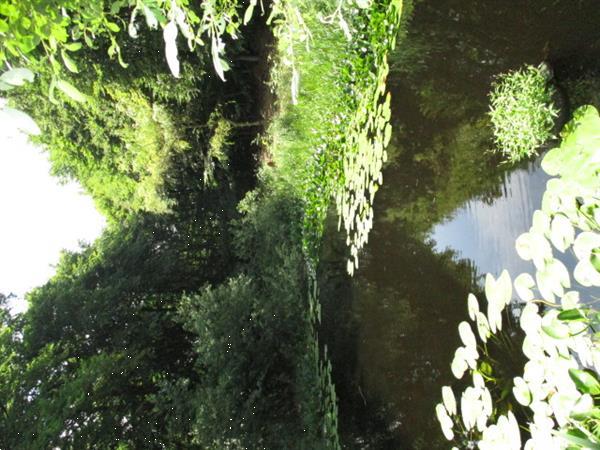 Grote foto camping omgeving drachten surhuisterveen harkema.tijdelijke caravans en kamperen overige caravans en kamperen