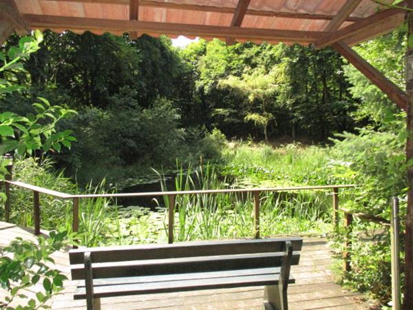 Grote foto direct woonruimte beschikbaar groningen friesland. natuur r vakantie overige vakantie