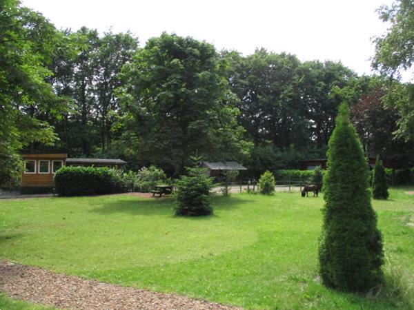 Grote foto groningen verhuur recreatiepark tijdelijke verhuur van geme caravans en kamperen overige caravans en kamperen