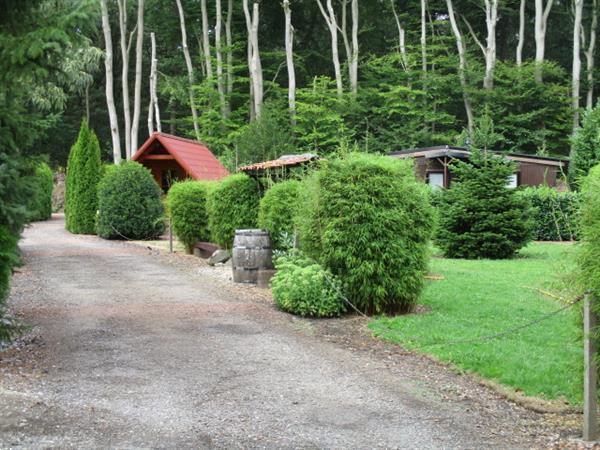 Grote foto recreatiepark tegen bos verhuur van gemeubileerde vakantiewo vakantie campings