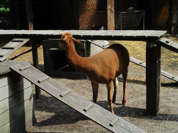 Grote foto verhuur van tijdelijke woonruimte op rustig park nabij groni vakantie overige vakantie