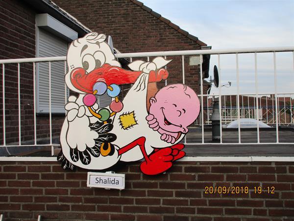 Grote foto geboortebord ooievaar geboorte feestbord kinderen en baby kraamcadeaus en geboorteborden